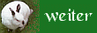 weiter zu den Fellgesicht-Seiten