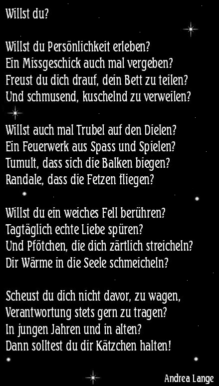 Scheust du dich nicht davor, zu wagen, Verantwortung stets gern zu tragen?